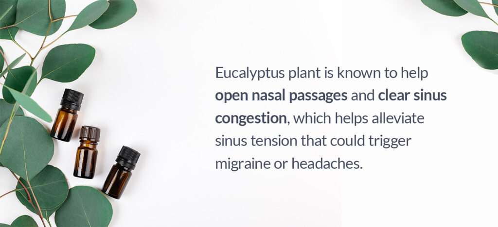 Eucalyptus oil